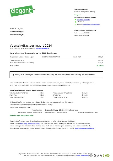 Modèle Word et PDF de facture de services publics d'entreprise élégante de Belgique